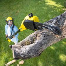 Best Emergency Tree Removal  in Mineral Wells, TX